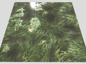 water with algae and plants 3 CG Textures