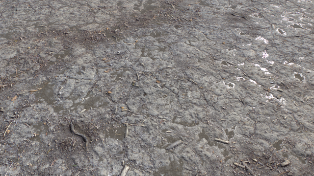 dirt terrain pbr pack 9 CG Textures .c4d .max .obj .3ds .fbx .stl .blend 