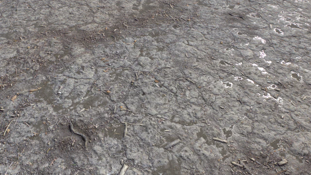 dirt terrain pbr pack 9 CG Textures .c4d .max .obj .3ds .fbx .stl .blend
