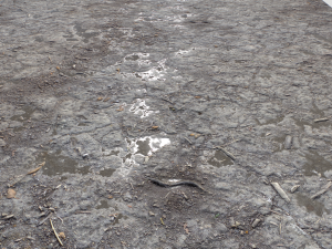 dirt terrain pbr pack 9 CG Textures