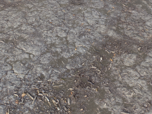 dirt terrain pbr pack 9 CG Textures