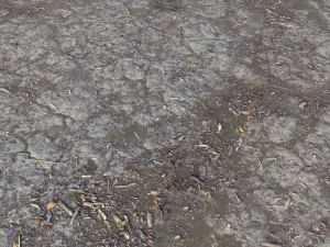 dirt terrain pbr pack 9 CG Textures