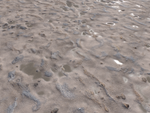 dirt terrain pbr pack 9 CG Textures