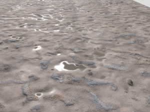 dirt terrain pbr pack 9 CG Textures