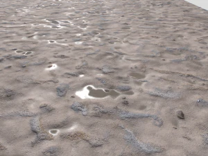 dirt terrain pbr pack 9 CG Textures
