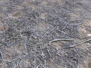 dirt terrain pbr pack 9 CG Textures