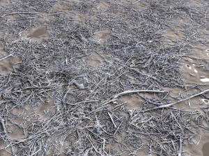 dirt terrain pbr pack 9 CG Textures