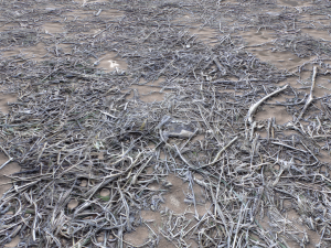 dirt terrain pbr pack 9 CG Textures