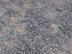 dirt terrain pbr pack 9 CG Textures