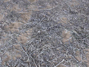 dirt terrain pbr pack 9 CG Textures