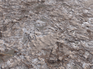 dirt terrain pbr pack 9 CG Textures