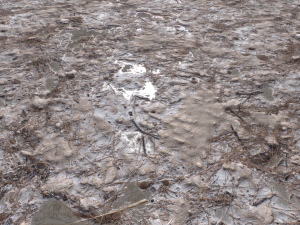 dirt terrain pbr pack 9 CG Textures