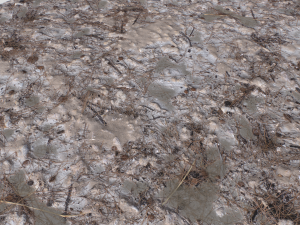 dirt terrain pbr pack 9 CG Textures