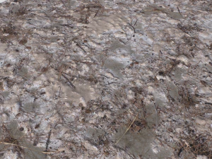 dirt terrain pbr pack 9 CG Textures