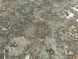 dirt terrain pbr pack 10 CG Textures