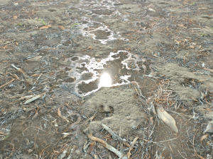 dirt terrain pbr pack 10 CG Textures