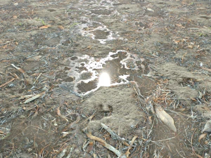 dirt terrain pbr pack 10 CG Textures