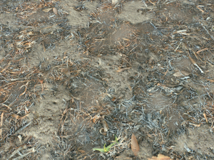 dirt terrain pbr pack 10 CG Textures