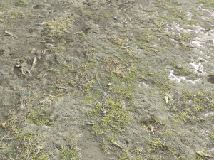dirt terrain pbr pack 10 CG Textures