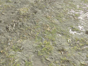 dirt terrain pbr pack 10 CG Textures