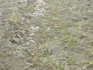 dirt terrain pbr pack 10 CG Textures