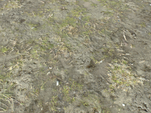 dirt terrain pbr pack 10 CG Textures