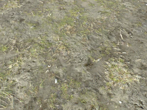 dirt terrain pbr pack 10 CG Textures