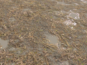 dirt terrain pbr pack 10 CG Textures