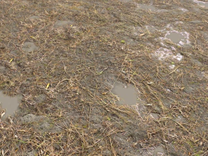 dirt terrain pbr pack 10 CG Textures