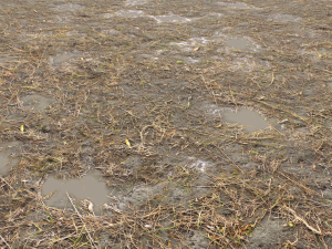 dirt terrain pbr pack 10 CG Textures