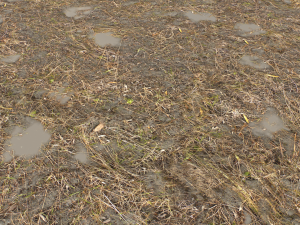 dirt terrain pbr pack 10 CG Textures