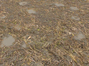 dirt terrain pbr pack 10 CG Textures
