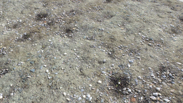 dirt terrain pbr pack 13 CG Textures .c4d .max .obj .3ds .fbx .stl .blend 