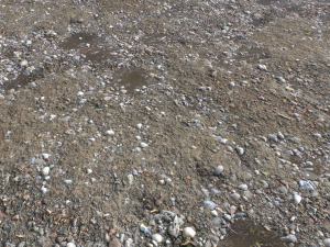 dirt terrain pbr pack 13 CG Текстури
