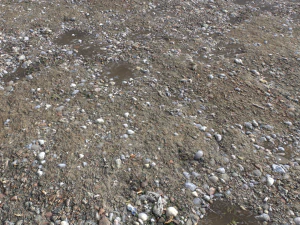 dirt terrain pbr pack 13 CG Textures