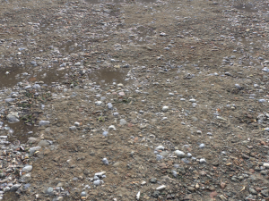 dirt terrain pbr pack 13 CG Текстури