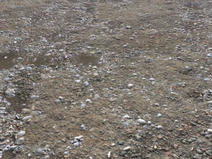 dirt terrain pbr pack 13 CG Textures