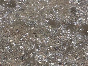 dirt terrain pbr pack 13 CG Textures