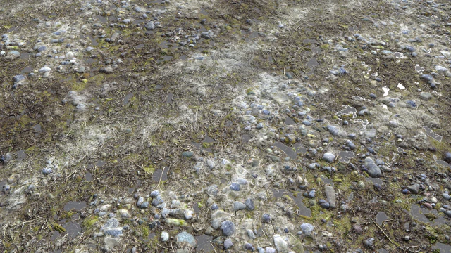 pacote de terreno de terra pbr 11 Texturas CG .c4d .max .obj .3ds .fbx .stl .blend 