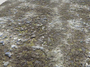 dirt terrain pbr pack 11 CG Textures