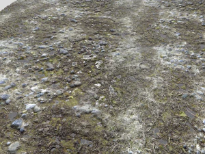 pacote de terreno de terra pbr 11 Texturas CG