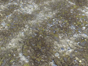 pacote de terreno de terra pbr 11 Texturas CG