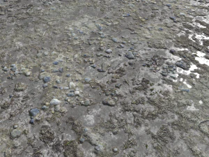 pacote de terreno de terra pbr 11 Texturas CG