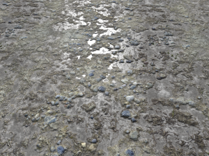 dirt terrain pbr pack 11 CG Textures