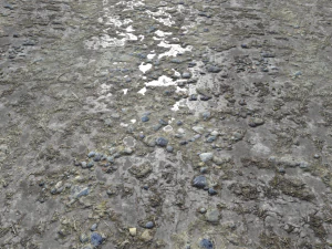 pacote de terreno de terra pbr 11 Texturas CG