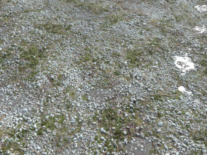 dirt terrain pbr pack 11 CG Textures