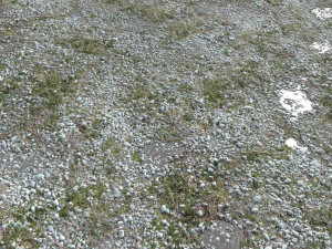 pacote de terreno de terra pbr 11 Texturas CG