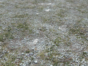 dirt terrain pbr pack 11 CG Textures