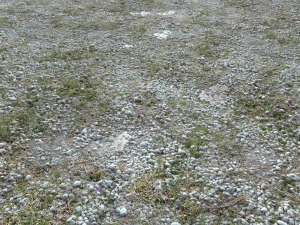 pacote de terreno de terra pbr 11 Texturas CG