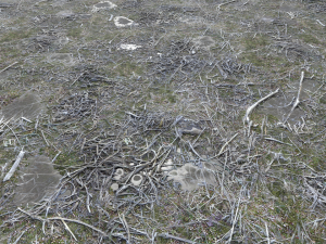 dirt terrain pbr pack 11 CG Textures
